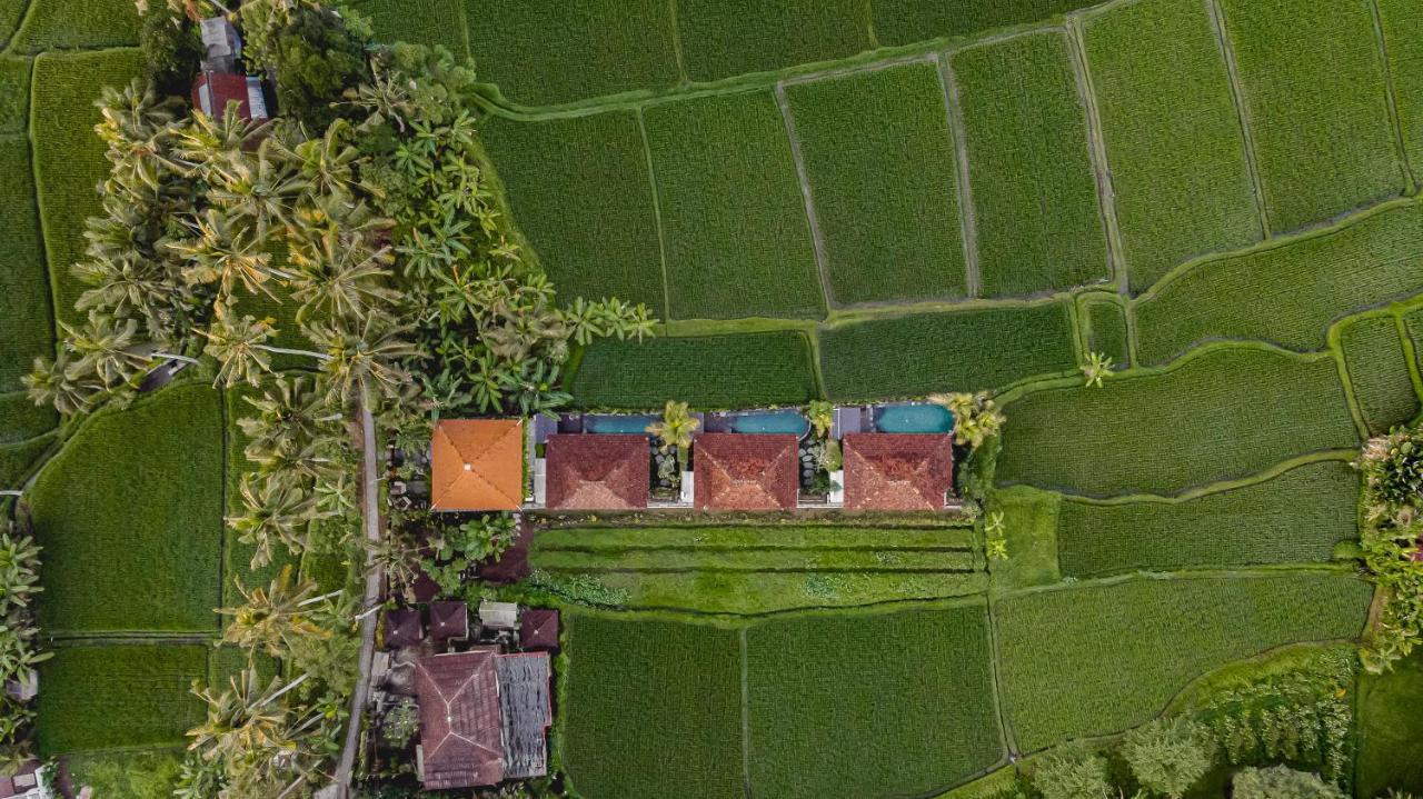 Airsania Ubud Antique Villas Exterior foto